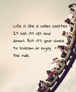 life-is-like-a-roller-coaster-it-has-its-ups-and-downs-but-its-your-choice-to-scream-or-enjoy-the-ride